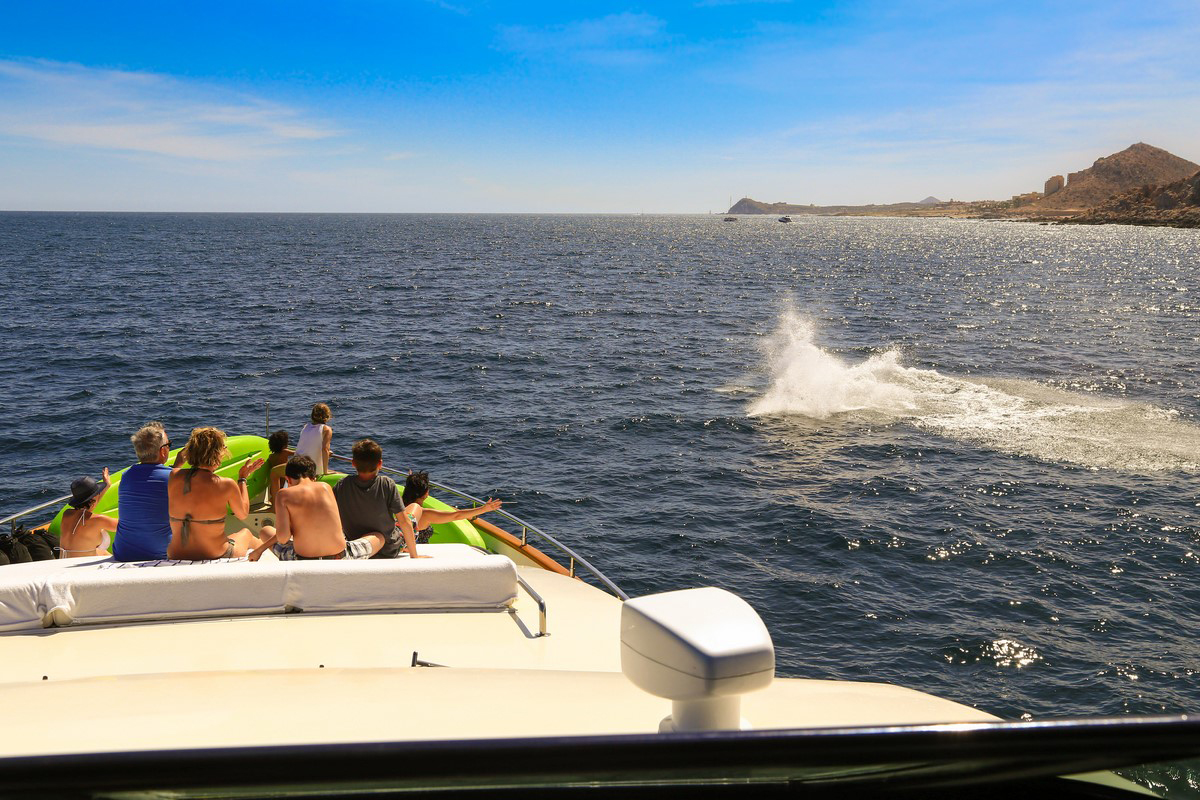 Cabo San Lucas Yacht Charters, Boat Rentals Los Cabos, Baja, boats